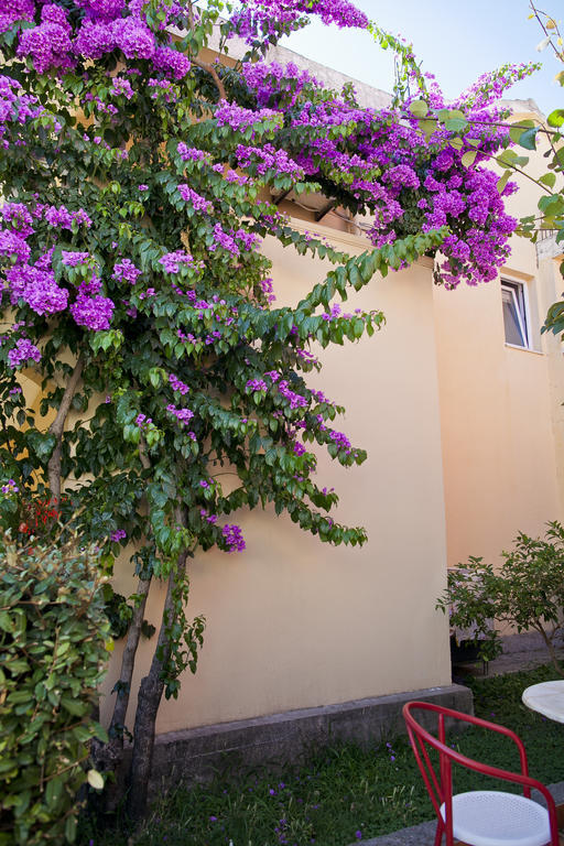 Apartament Angela Budva